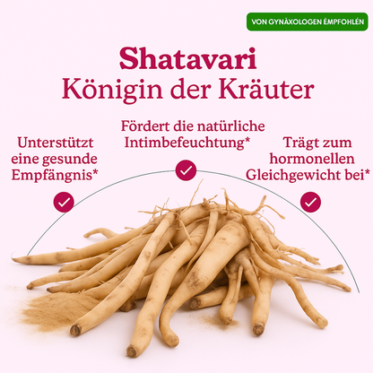 SHE-Lajit - Honigsticks