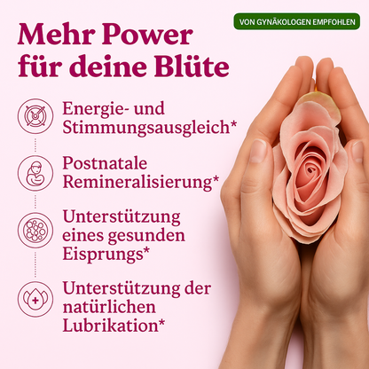 SHE-Lajit - Honigsticks